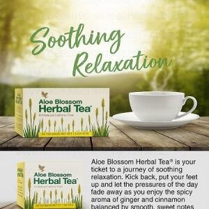 Forever Aloe Blossom Herbal Tea