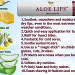Forever Aloe Lips | Aloe Vera Lip Balm with Jojoba for Soft, Moisturised Lips in Ghana
