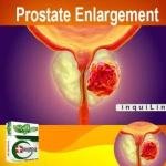Prostate Wellness Support Pack | Saw Palmetto Style Supplements for Men in Ghana